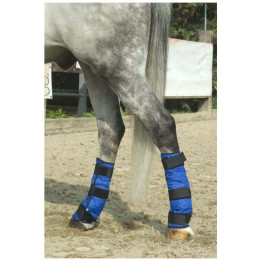 Bottes rafraîchissantes pour cheval