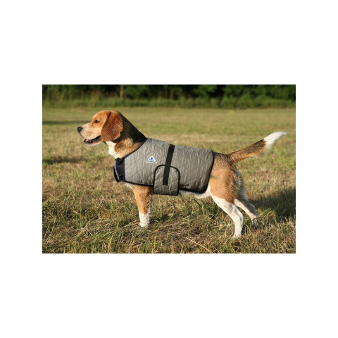 Manteau rafraîchissant pour chien Hyperkewl