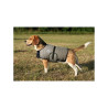 Manteau rafraîchissant pour chien Hyperkewl