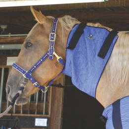 Couvre-épaules rafraîchissant pour cheval Hyperkewl - Bleu