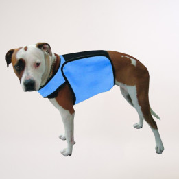 manteau-chien-changement-de-phase-bleu