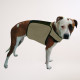 Manteau refroidissant Coolpax pour chien militaire ou chien policier