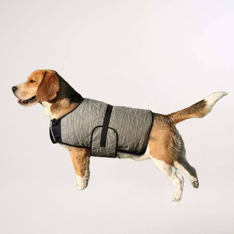Manteau rafraîchissant pour chien Hyperkewl