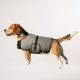 Manteau rafraîchissant pour chien Hyperkewl