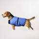 manteau-rafraichissant-chien-bleu