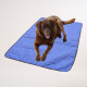 tapis-rafraichissant-chien-bleu