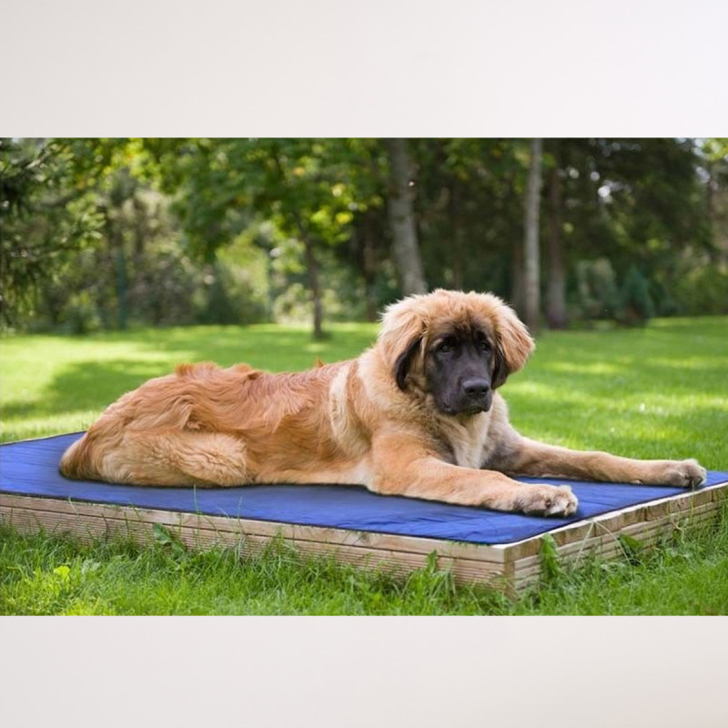 Tapis rafraîchissant pour chien Hyperkewl