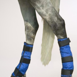 bottes-rafraichissantes-pour-cheval