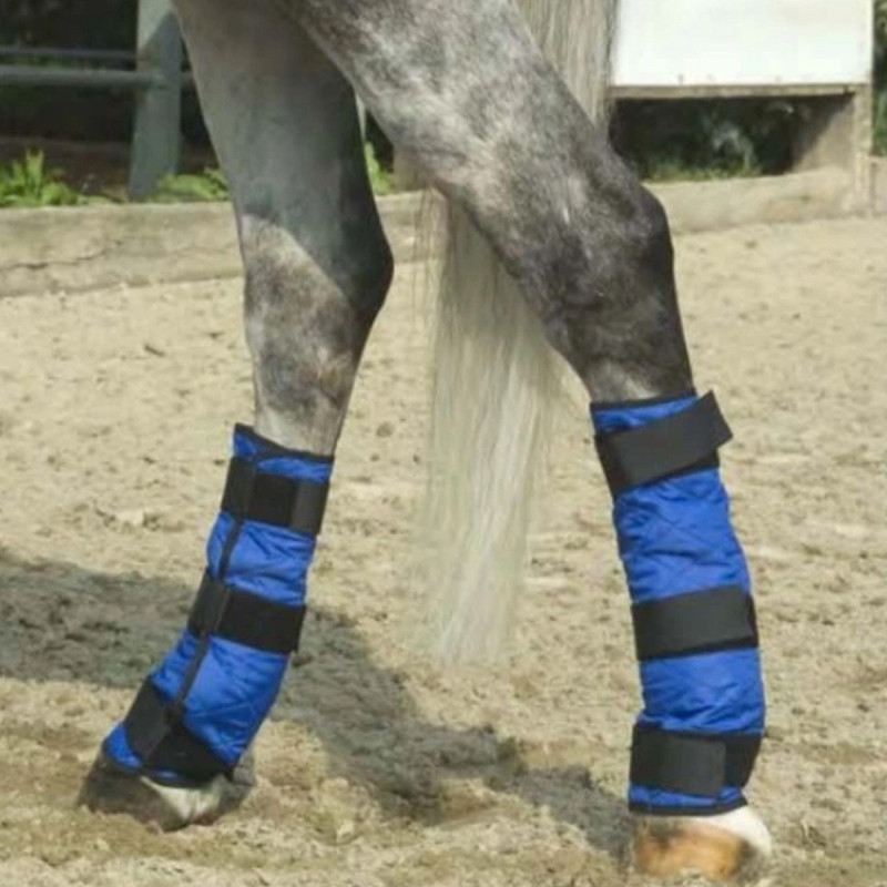 bottes-rafraichissantes-pour-cheval-ecurie