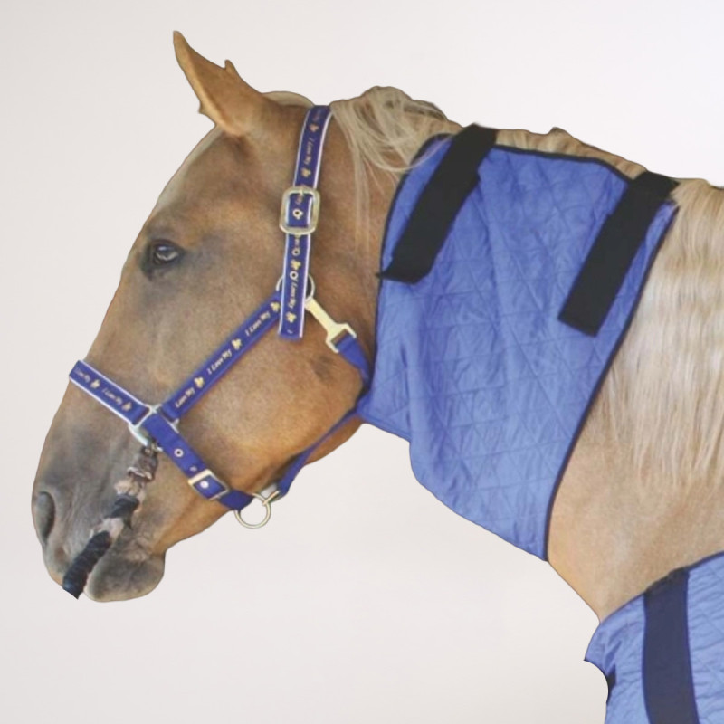 couvre-epaules-rafraichissant-pour-cheval-bleu