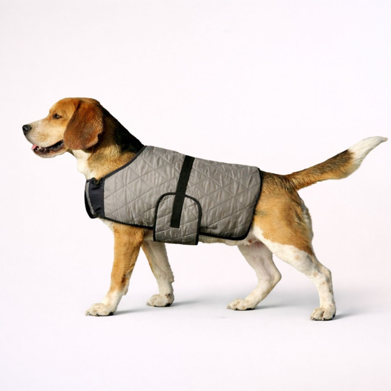 manteau-rafraichissant-chien-gris