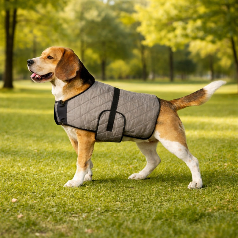 manteau-rafraichissant-chien-parc
