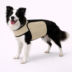 Manteau rafraîchissant chien Phase