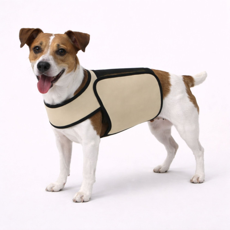 manteau-chien-changement-de-phase-beige-moyen