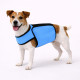 manteau-chien-changement-de-phase-bleu-moyen