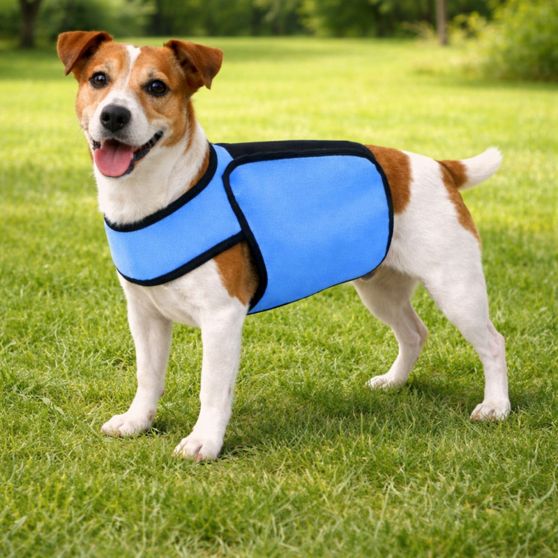 manteau-chien-changement-de-phase-bleu-jardin