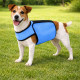 manteau-chien-changement-de-phase-bleu-jardin