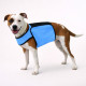 manteau-chien-changement-de-phase-bleu-gros