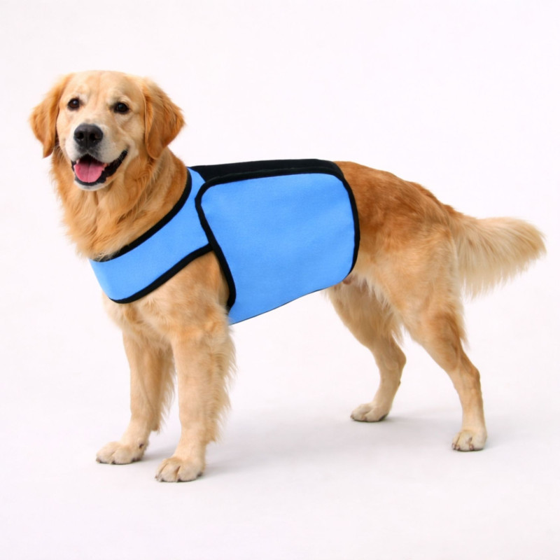 manteau-chien-changement-de-phase-bleu-labrador
