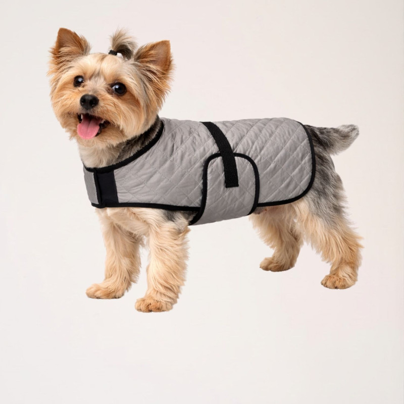 manteau-rafraichissant-petit-chien-gris