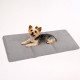 tapis-chien-changement-phase-petit-chien