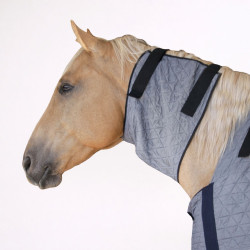 Couvre-épaules rafraîchissant pour cheval