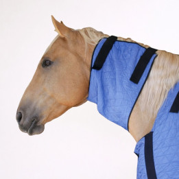 couvre-epaules-rafraichissant-pour-cheval-bleu