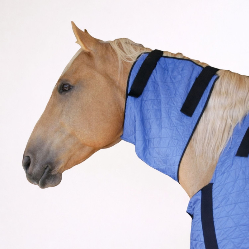 couvre-epaules-rafraichissant-pour-cheval-bleu