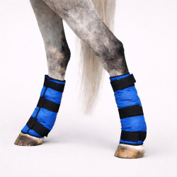 Bottes rafraîchissantes pour cheval