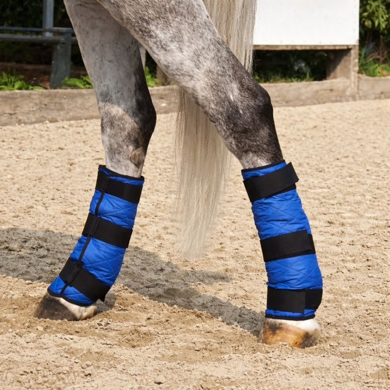bottes-rafraichissantes-pour-cheval-carriere