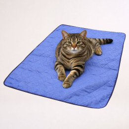 Tapis rafraîchissant pour chat - bleu
