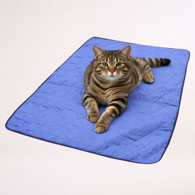 Tapis rafraîchissant pour chat - bleu