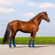 Bottes rafraîchissantes pour cheval portées
