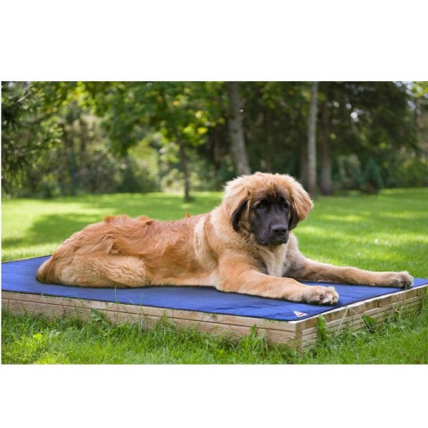 Tapis rafraîchissant pour chien Hyperkewl