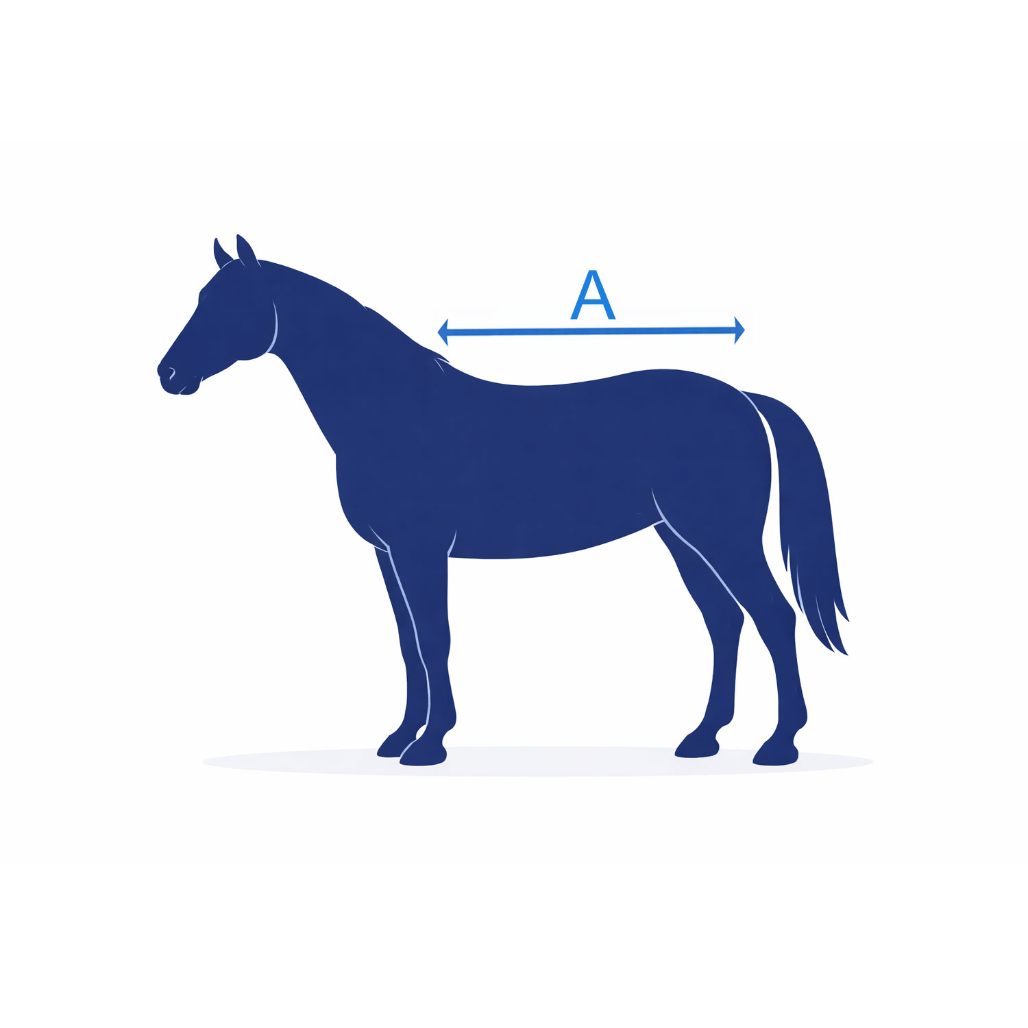 Guide-tailles-couverture-cheval