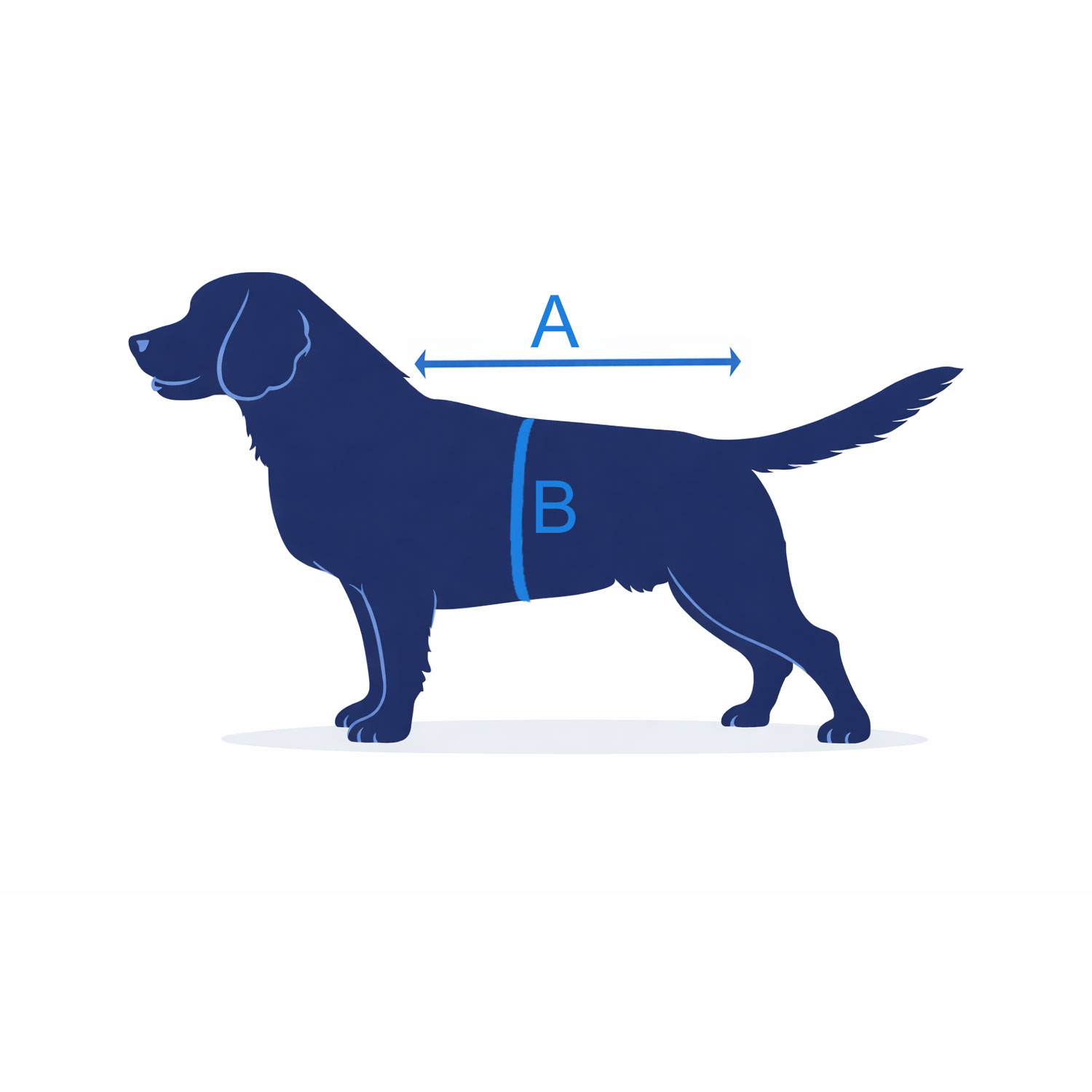 Guide des tailles manteau chien