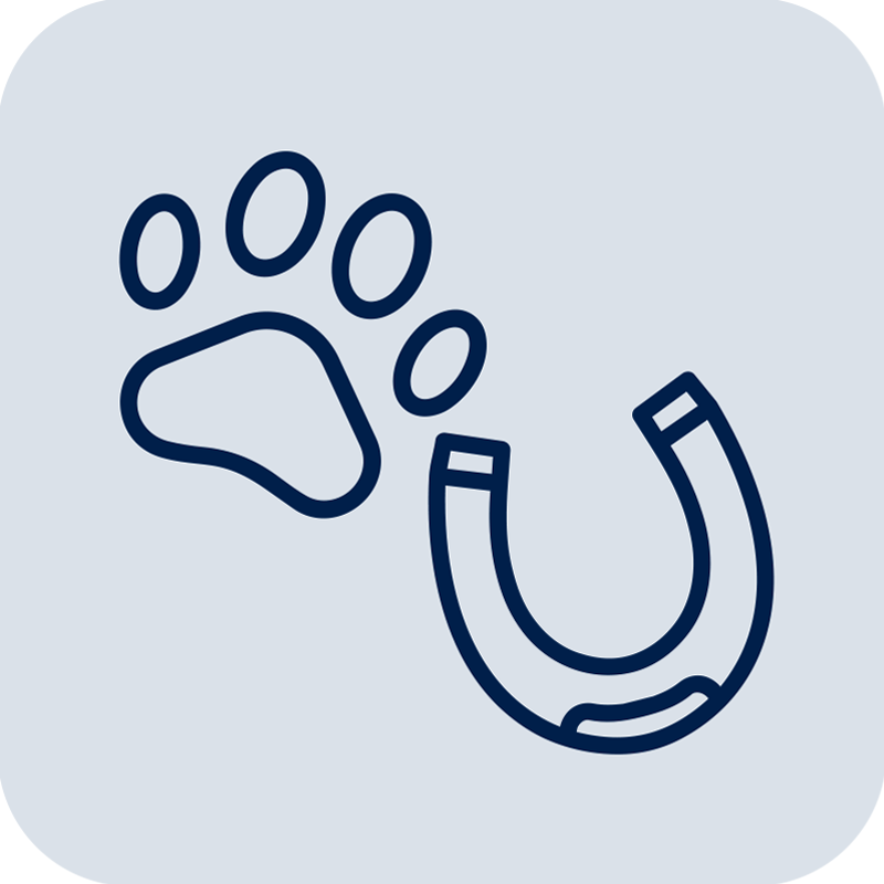 Animaux