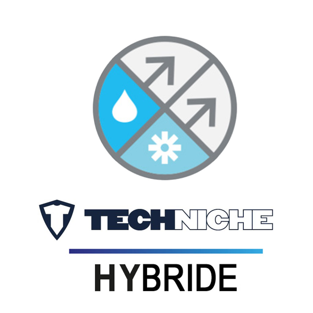 Techniche Hybride