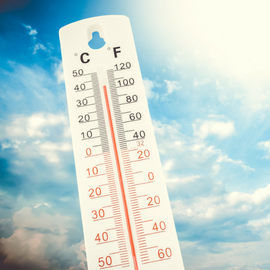 Alerte canicule : rafraîchissez-vous avec Technifresh