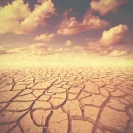 Réchauffement climatique et emploi : une équation inquiétante