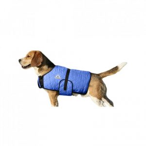 manteau rafraichissant pour chien hyperkewl