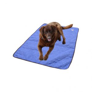tapis rafraichissant pour chien