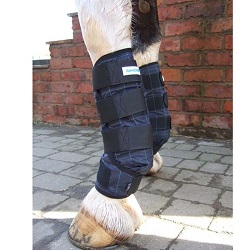 Bottes rafraîchissantes pour chevaux bottes rafraîchissantes pour cheval