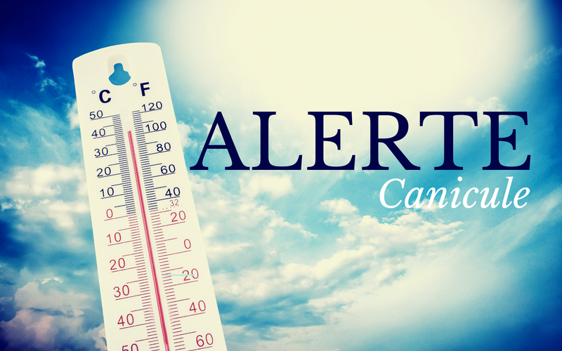 Alerte canicule