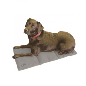 Tapis frais pour chien