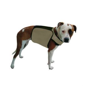Manteau chien changement phase